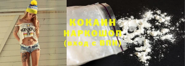 стаф Нефтегорск