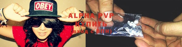 стаф Нефтегорск