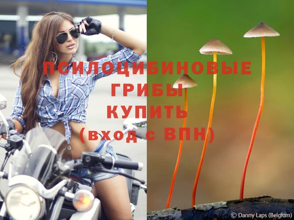 кокаин перу Новодвинск