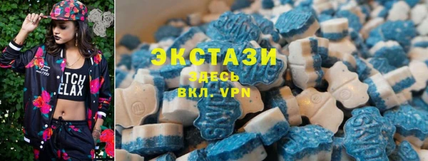 гашик Новозыбков