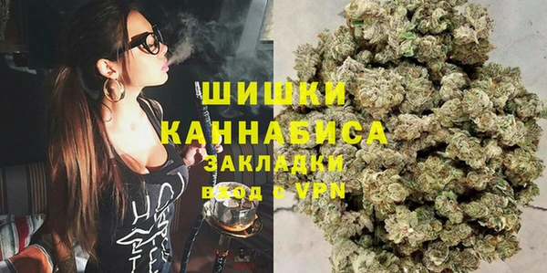 стаф Нефтегорск