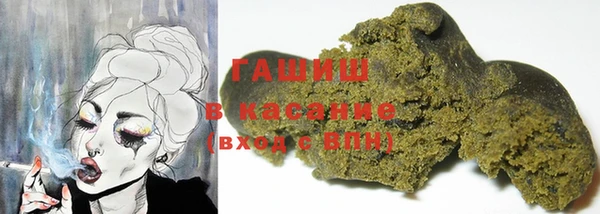 гашик Новозыбков